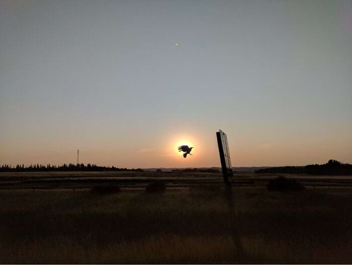 image-20250909210632-9