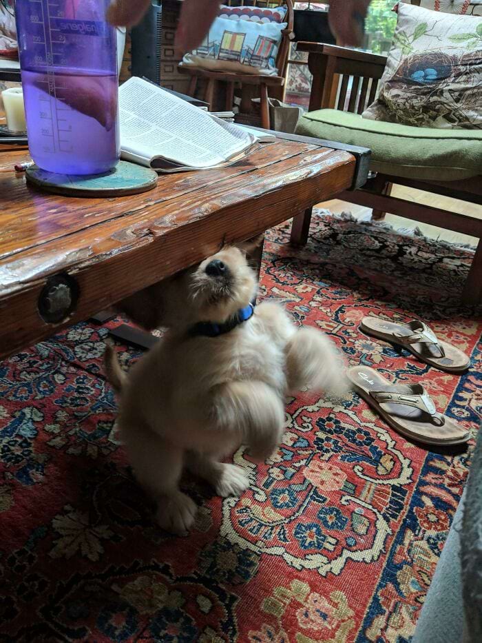 image-20250909213943-15