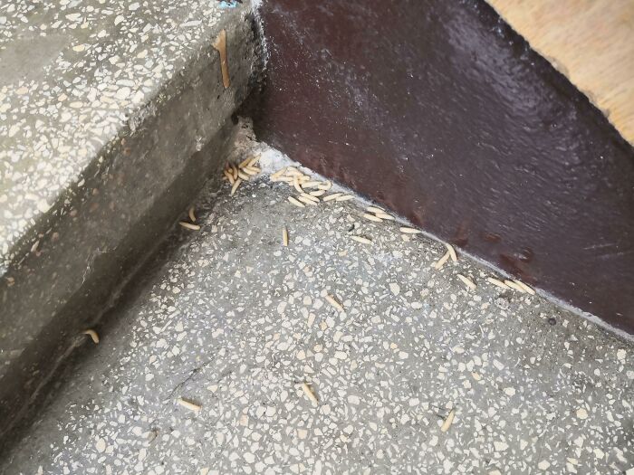 image-20250912152501-16