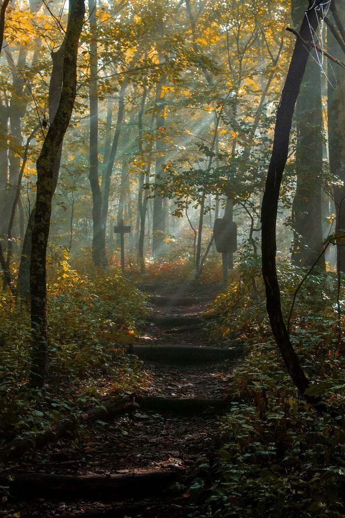 image-20250918090742-6