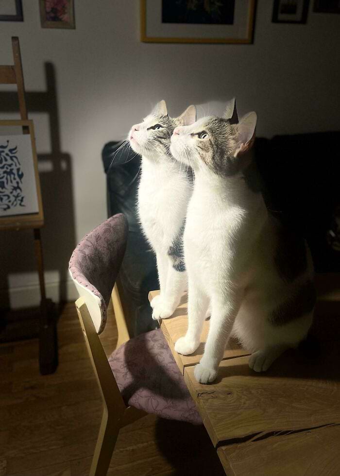 image-20250918090809-14