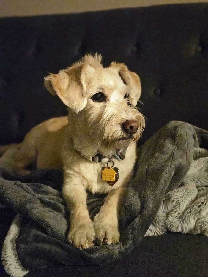 image-20250918090815-16