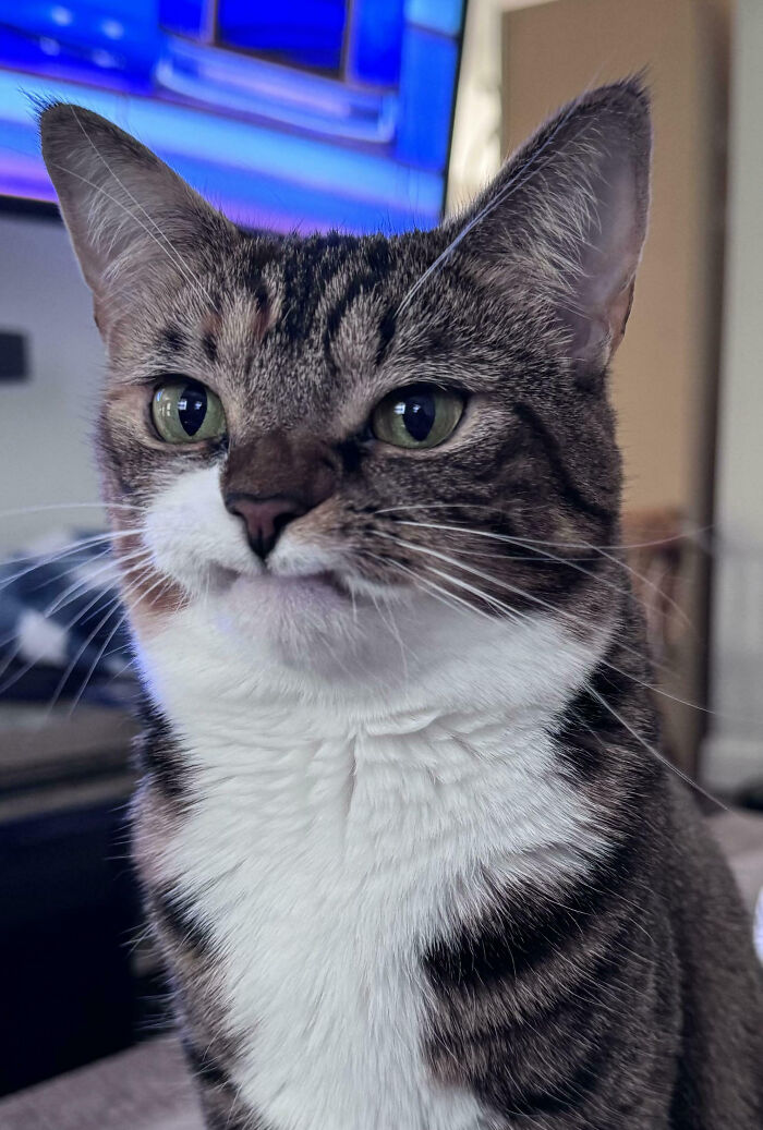 image-20250921120049-1