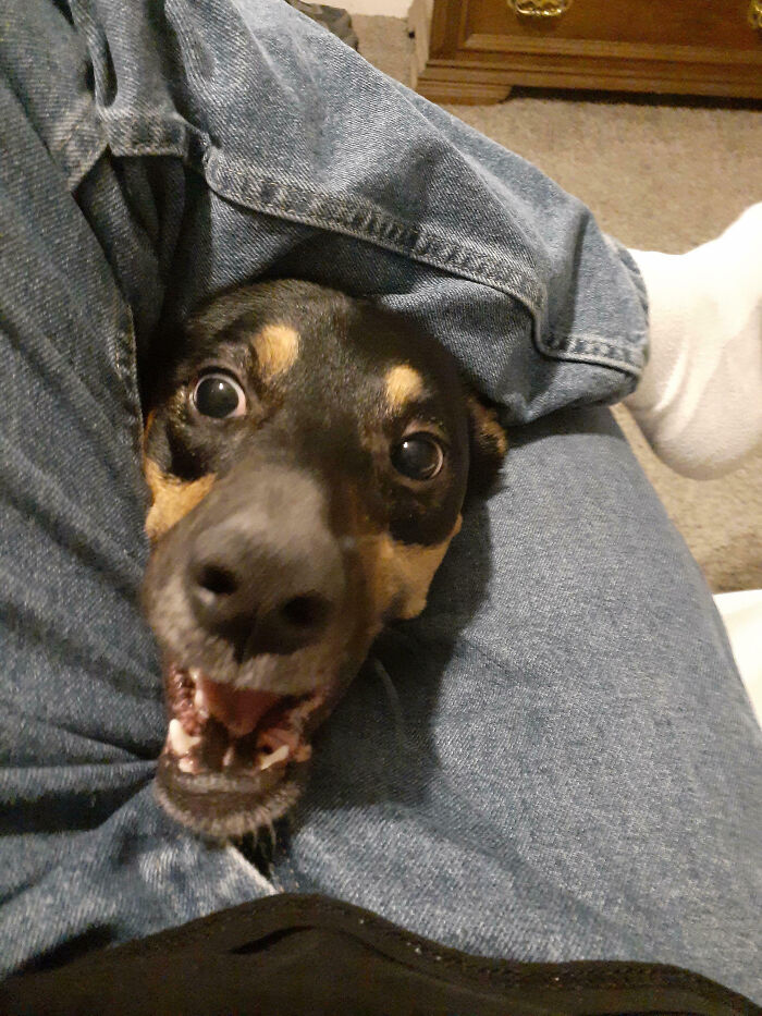 image-20250921120100-5