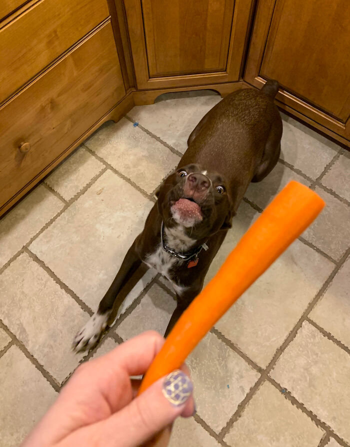 image-20250921120127-11