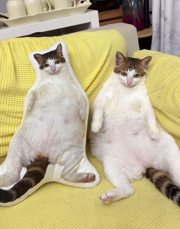 image-20250921120141-16