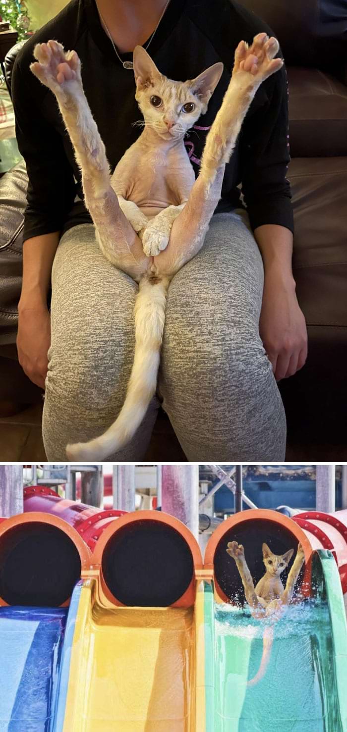 image-20250922111119-12