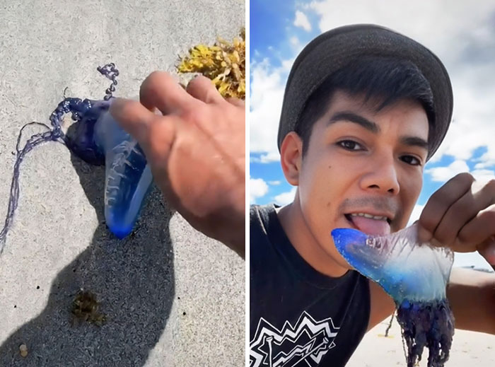 image-20250923123326-12