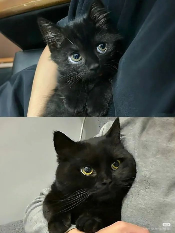 image-20250924171147-1