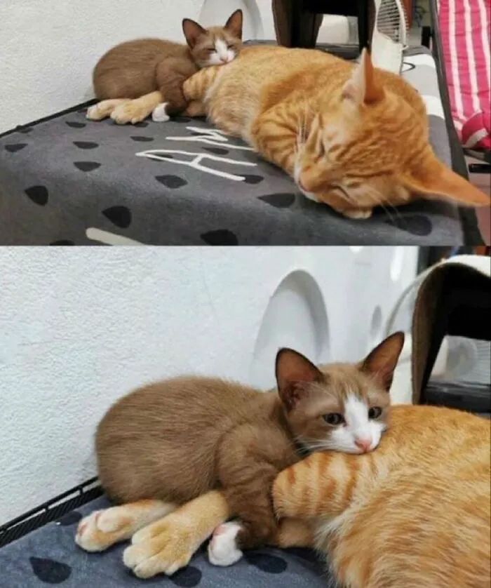 image-20250924171152-3