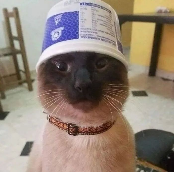 image-20250924171219-12