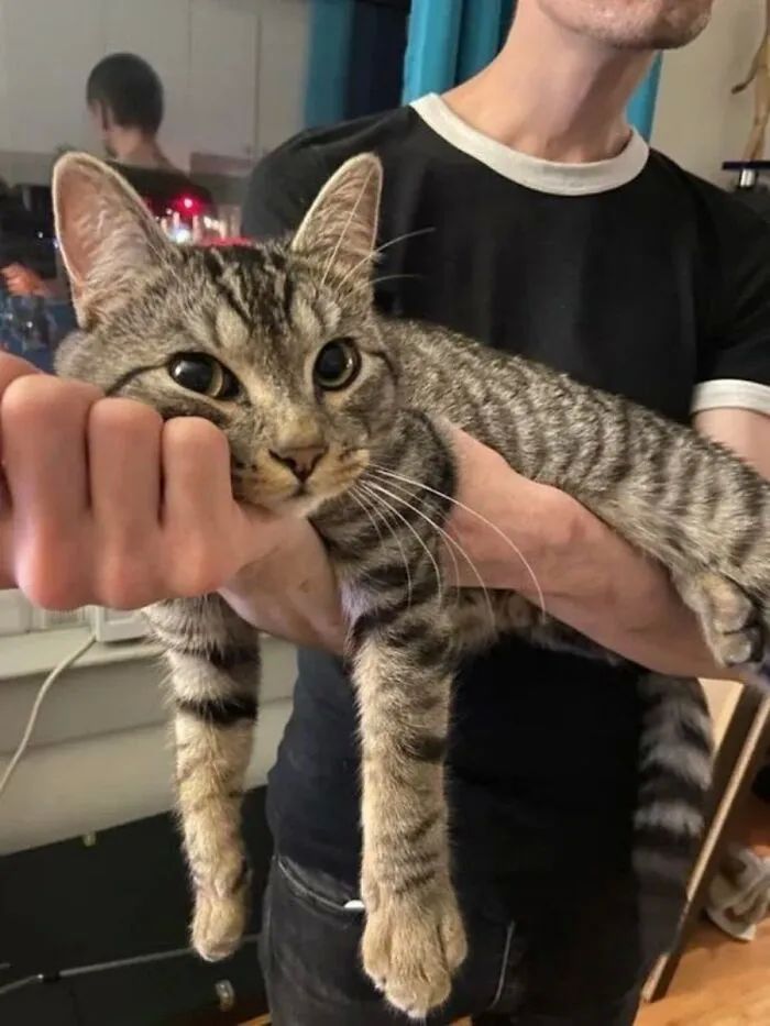 image-20250924171224-13