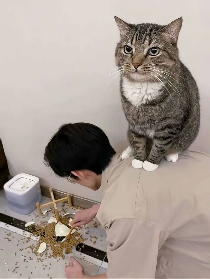 image-20250924171229-15