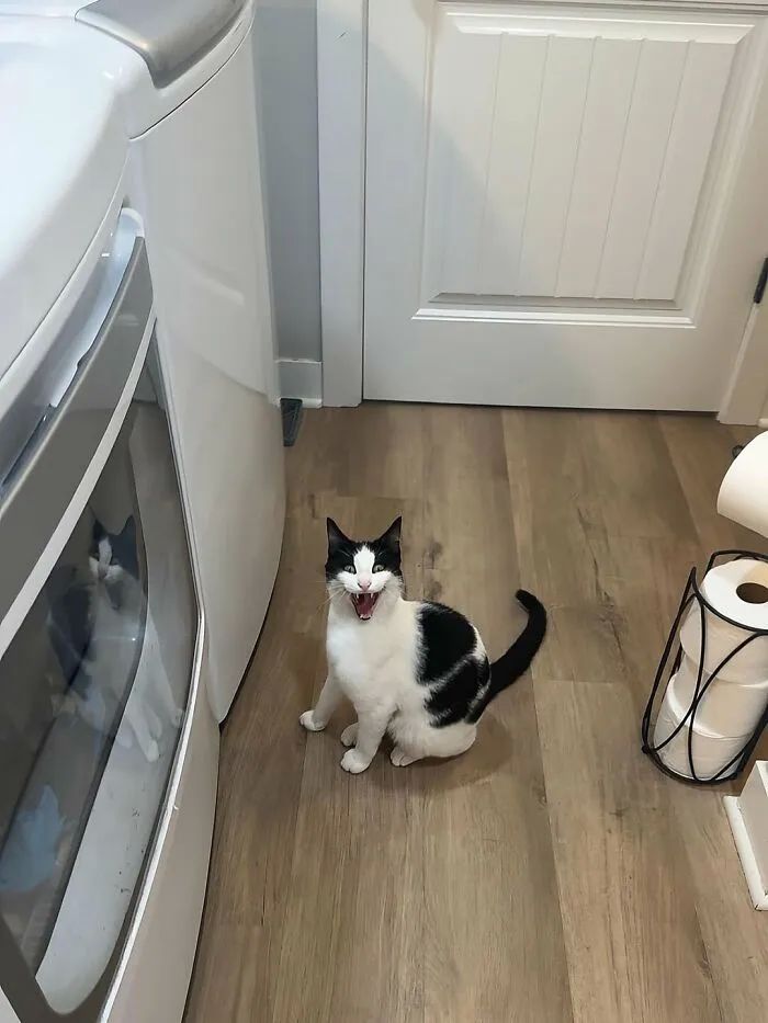 image-20250924171232-16