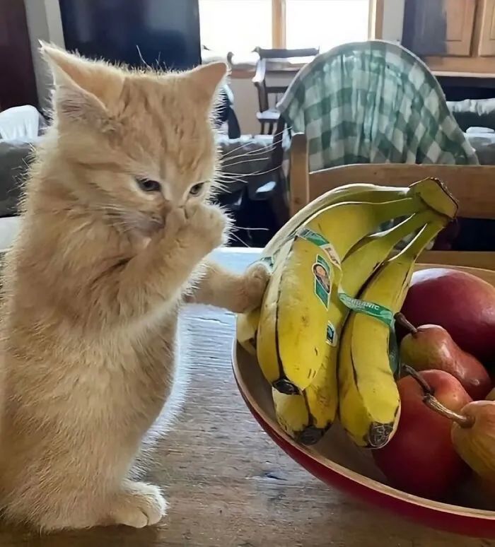 image-20250924171234-17