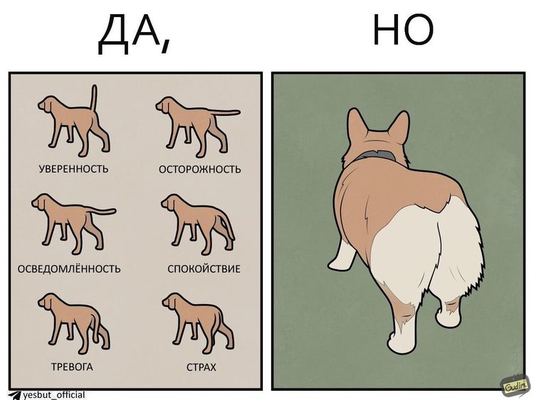 image-20250925084613-4