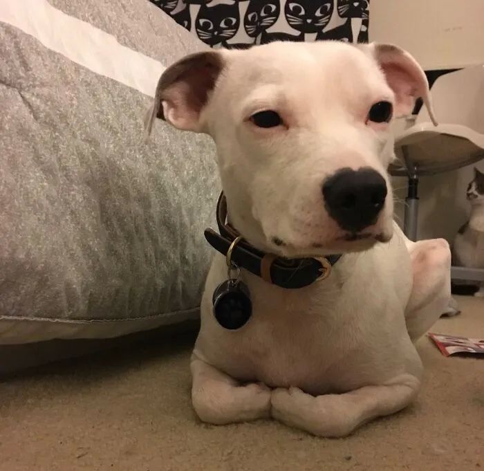 image-20250925220343-1