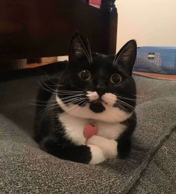 image-20250925220346-2