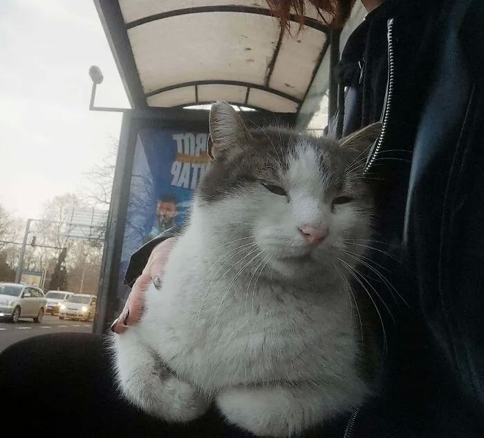 image-20250925220351-4