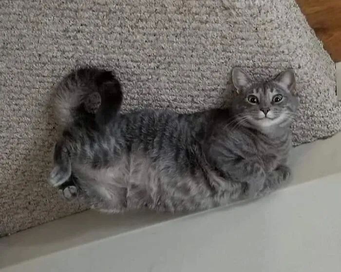 image-20250925220357-6