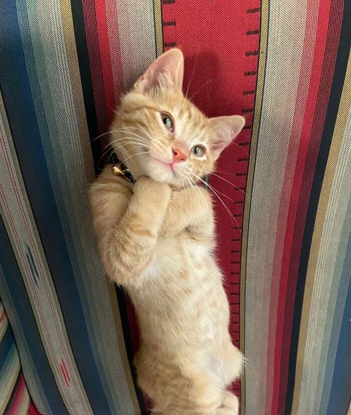 image-20250925220406-9