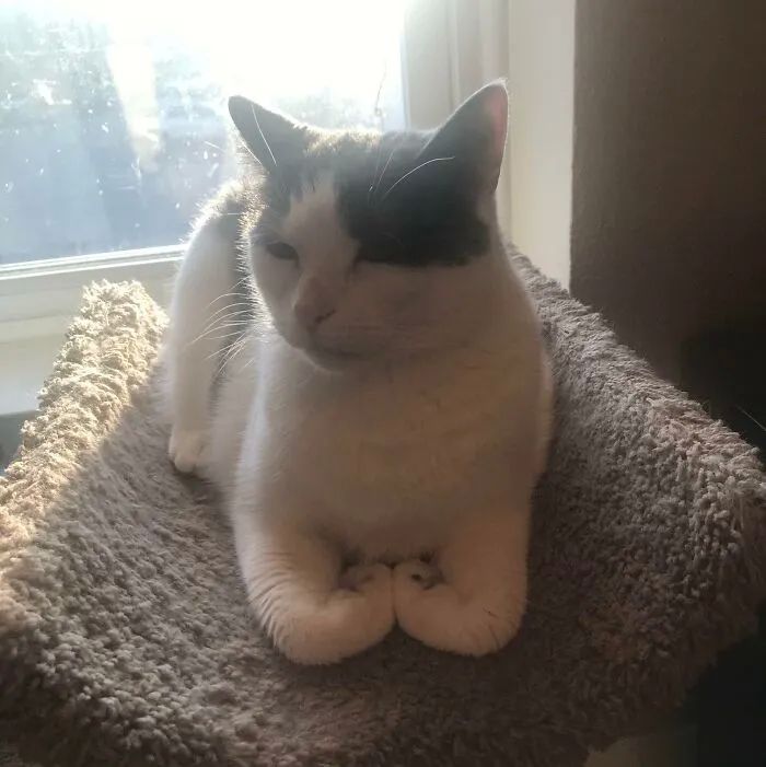 image-20250925220429-13