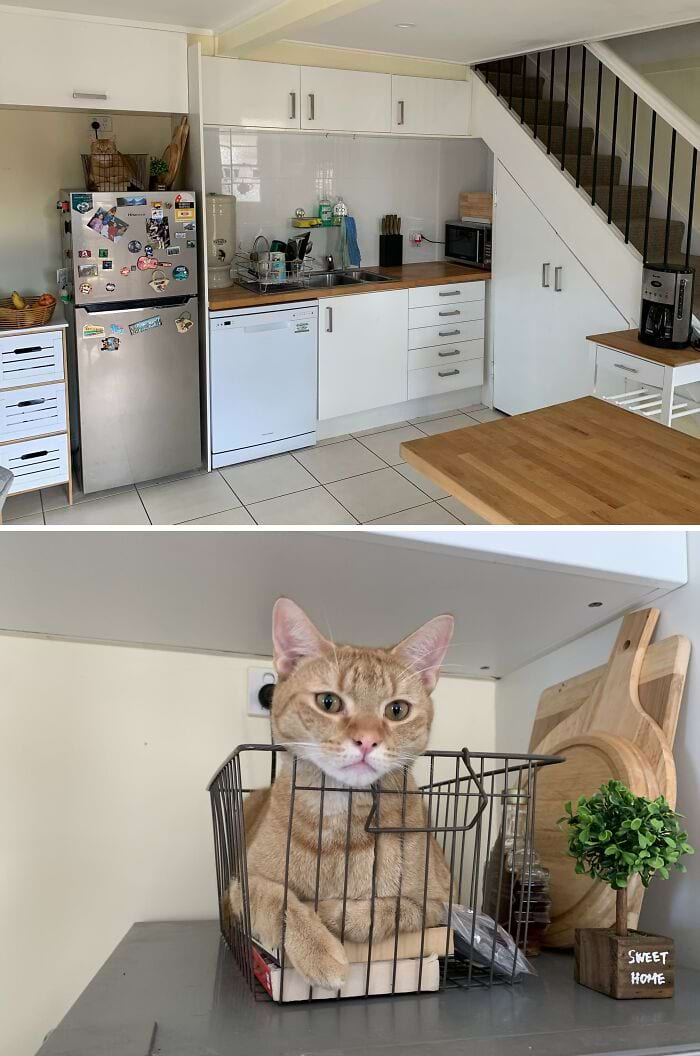 image-20250926144848-13