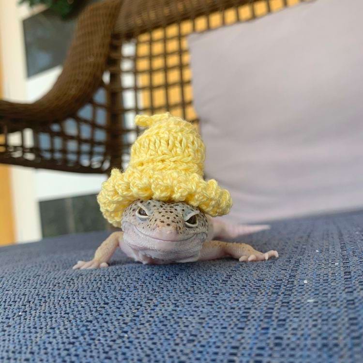 image-20250926161119-6