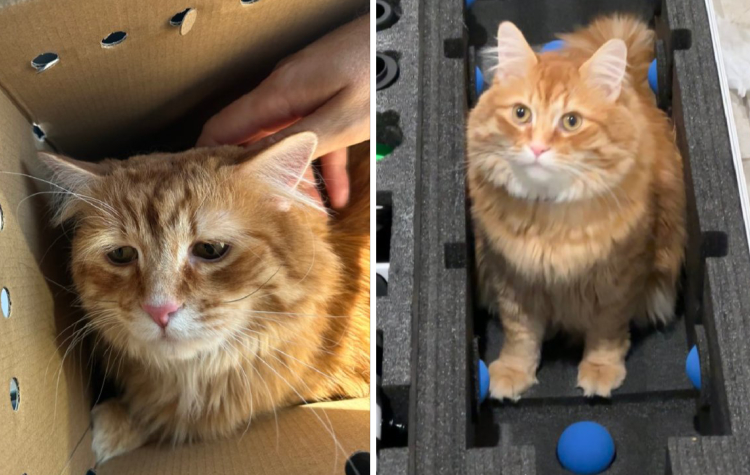 image-20250929142523-6