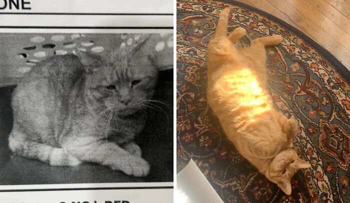 image-20250929142547-11