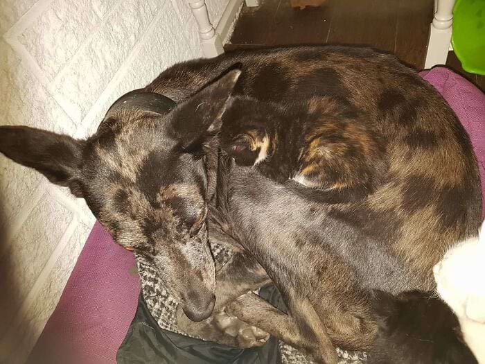 image-20250930165623-14