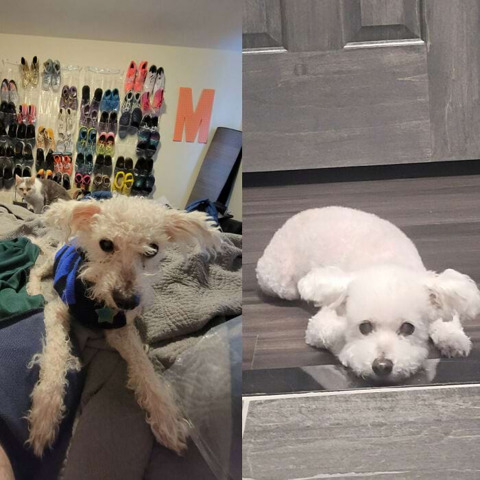 image-20251001171713-13