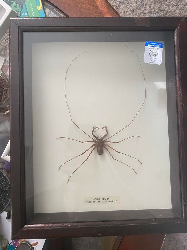 image-20251028120807-5