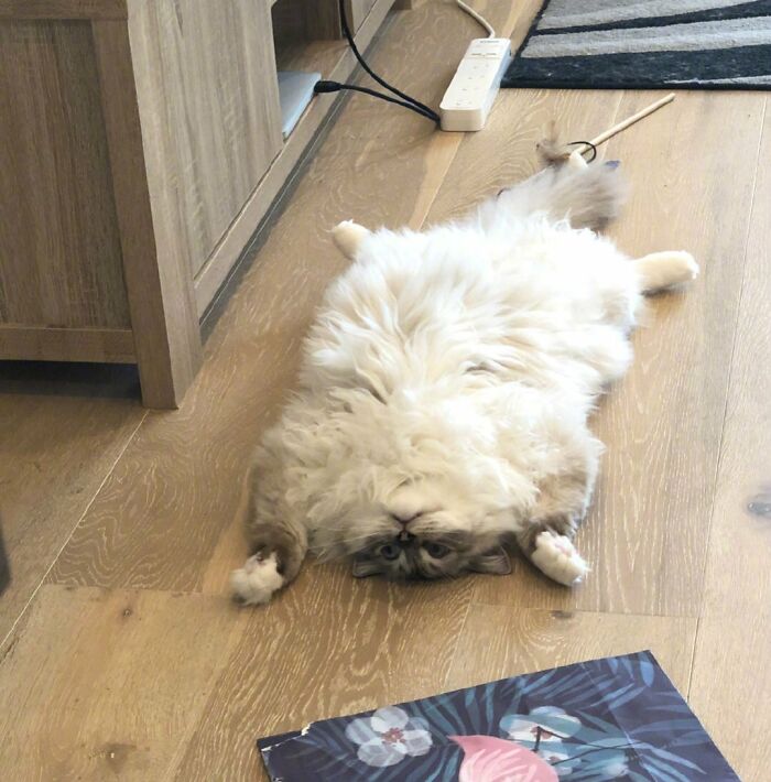 image-20251105124410-2