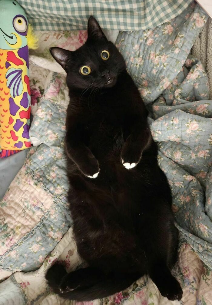 image-20251105124416-4