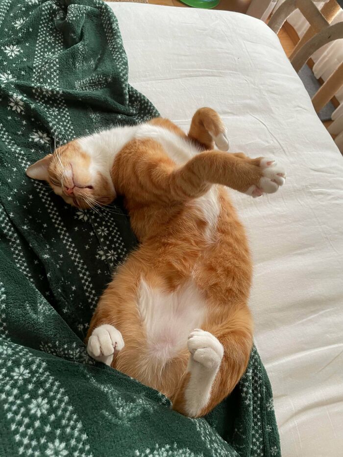 image-20251105124424-6