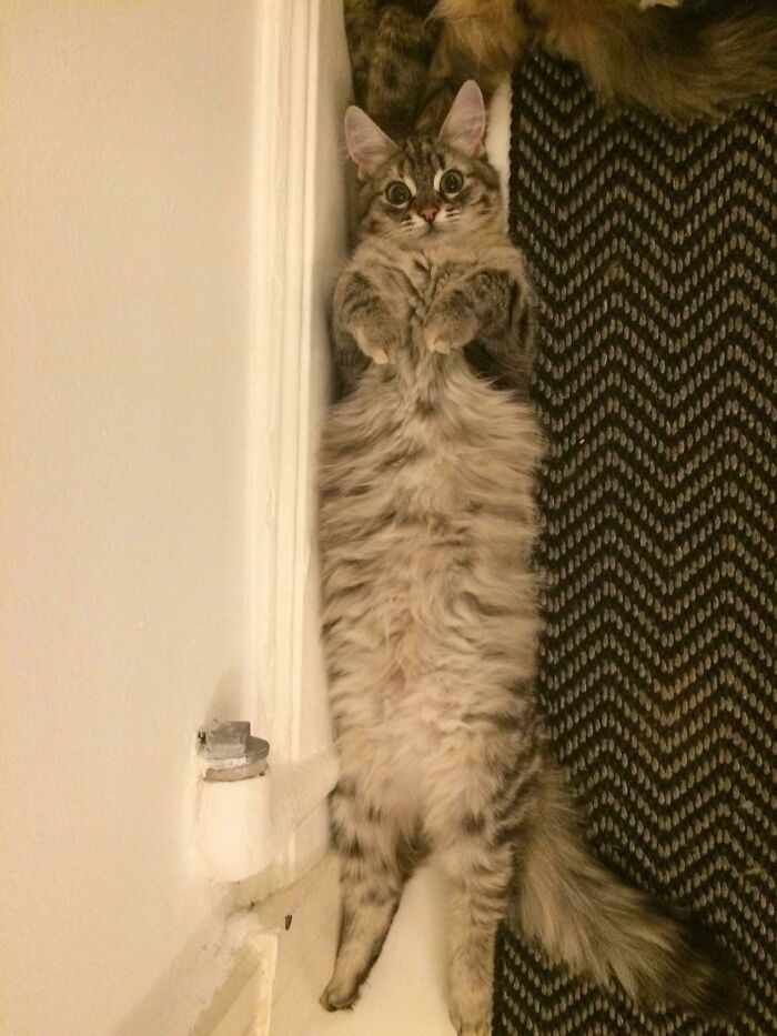 image-20251105124427-7