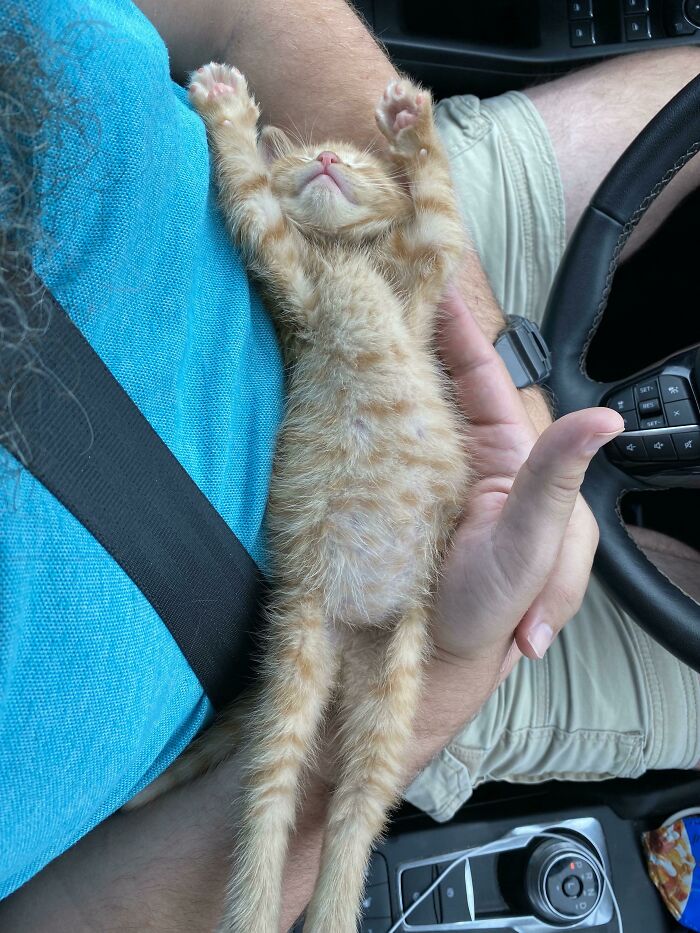 image-20251105124437-10