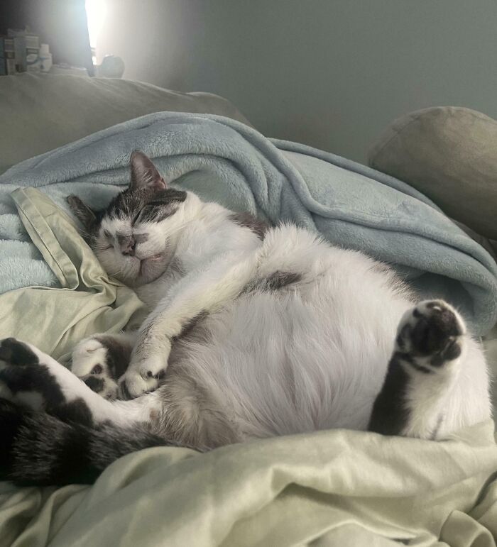 image-20251105124456-13