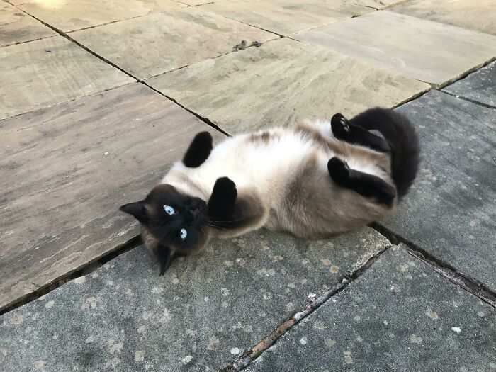 image-20251105124643-19