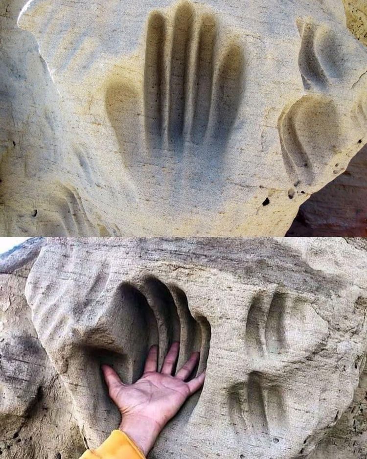 image-20251111103614-5