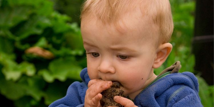 image-20251112170757-11