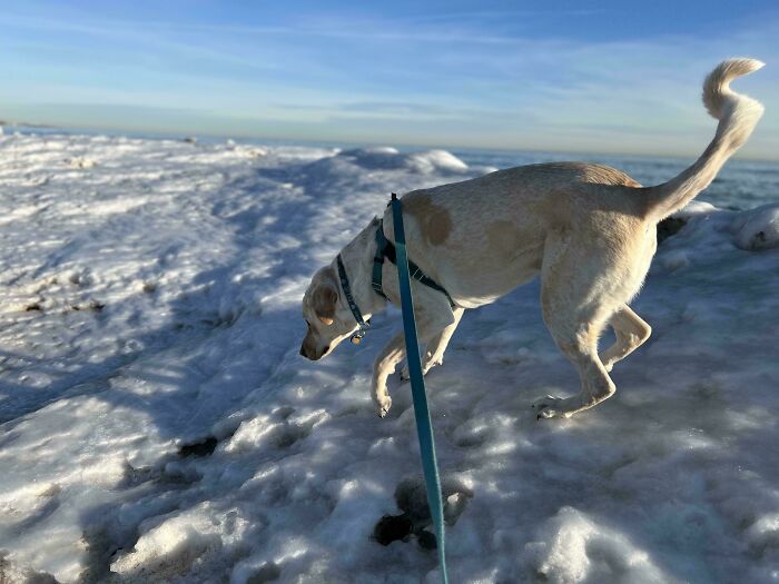 image-20251114112854-11