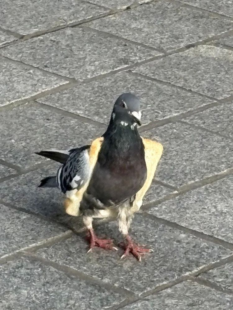 image-20251114143456-1