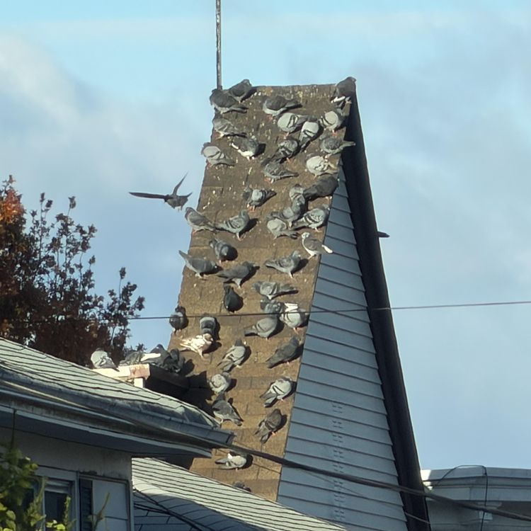 image-20251114143539-16