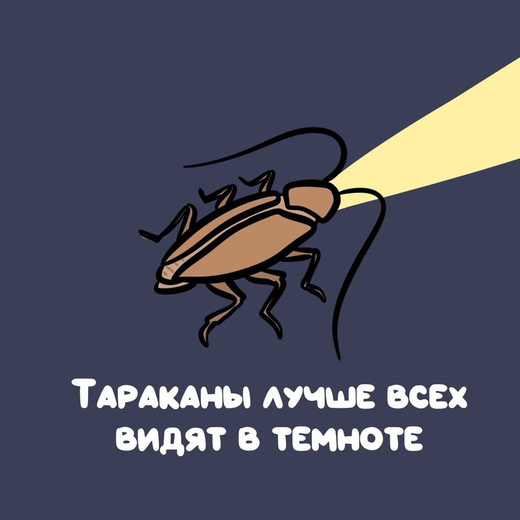 image-20251117142937-9