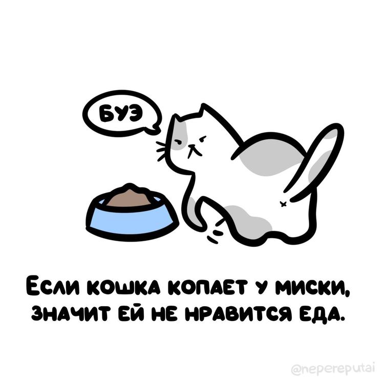 image-20251117143013-10