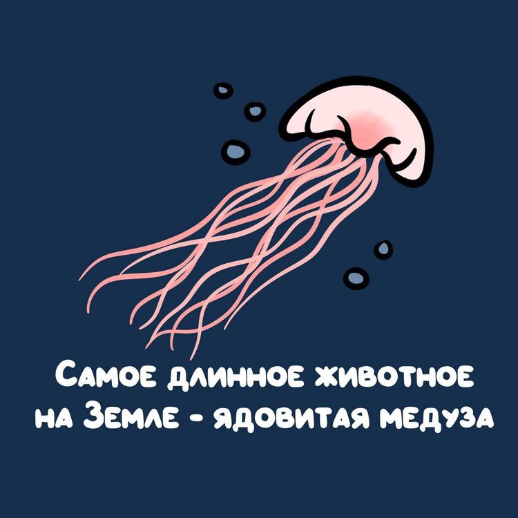 image-20251117143025-14