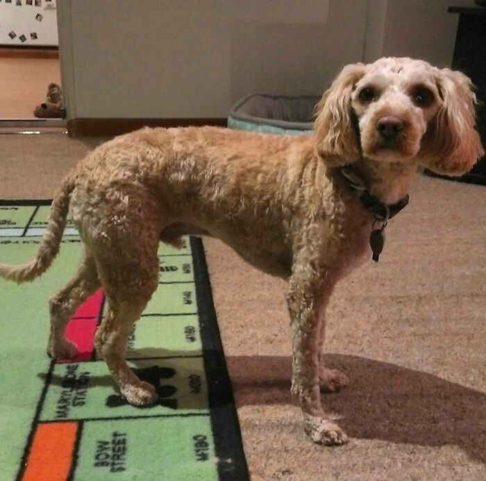 image-20251117214130-1