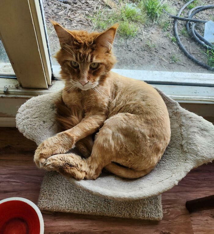 image-20251117214132-2